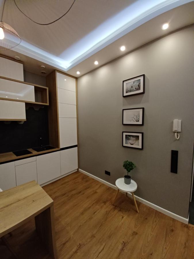 Apartament Piotrkowska 37 Studio 罗兹 外观 照片