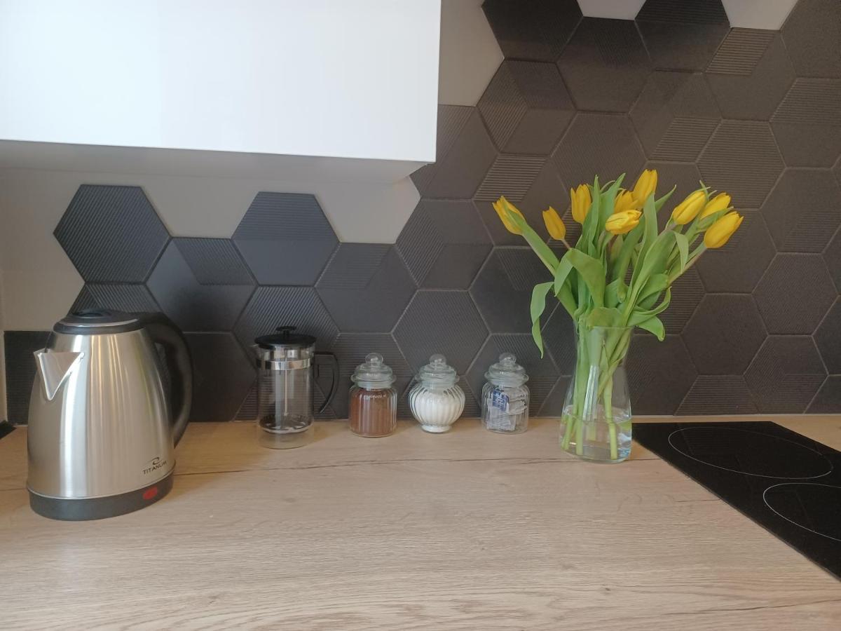 Apartament Piotrkowska 37 Studio 罗兹 外观 照片