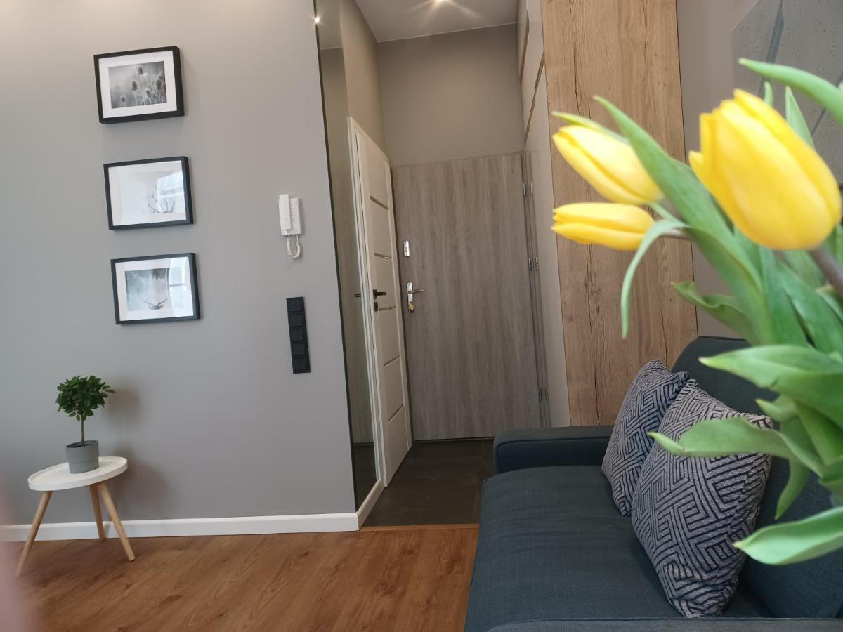 Apartament Piotrkowska 37 Studio 罗兹 外观 照片