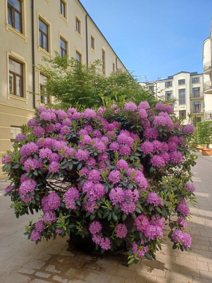 Apartament Piotrkowska 37 Studio 罗兹 外观 照片