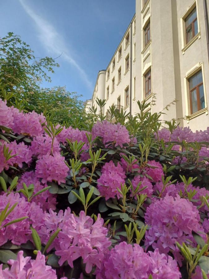 Apartament Piotrkowska 37 Studio 罗兹 外观 照片